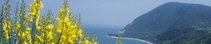 cropped-portonovo-300x224.jpg